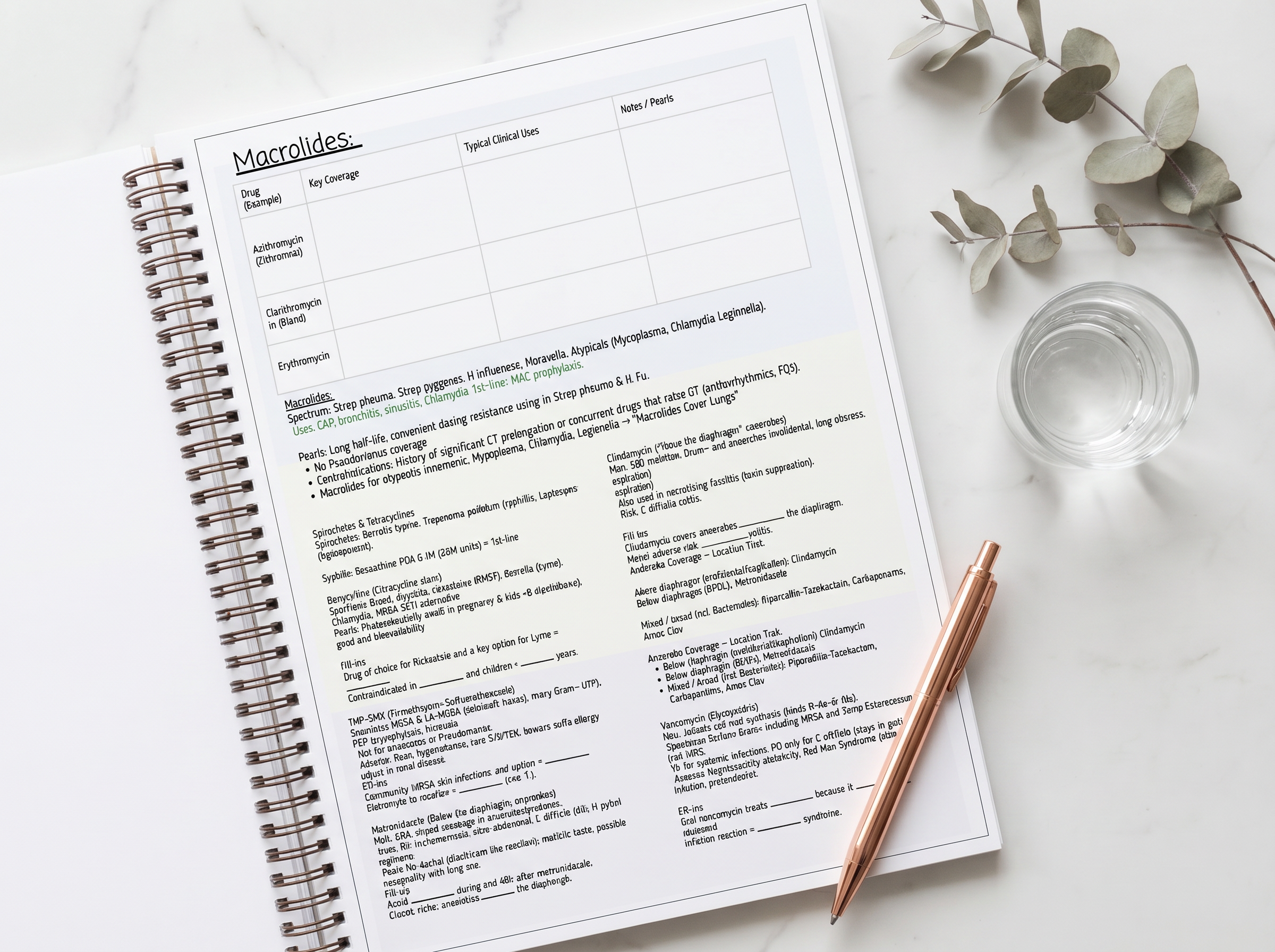 3P Study Book open to Macrolides pharmacology page with fill-in-the-blank tables and board pearls on marble surface