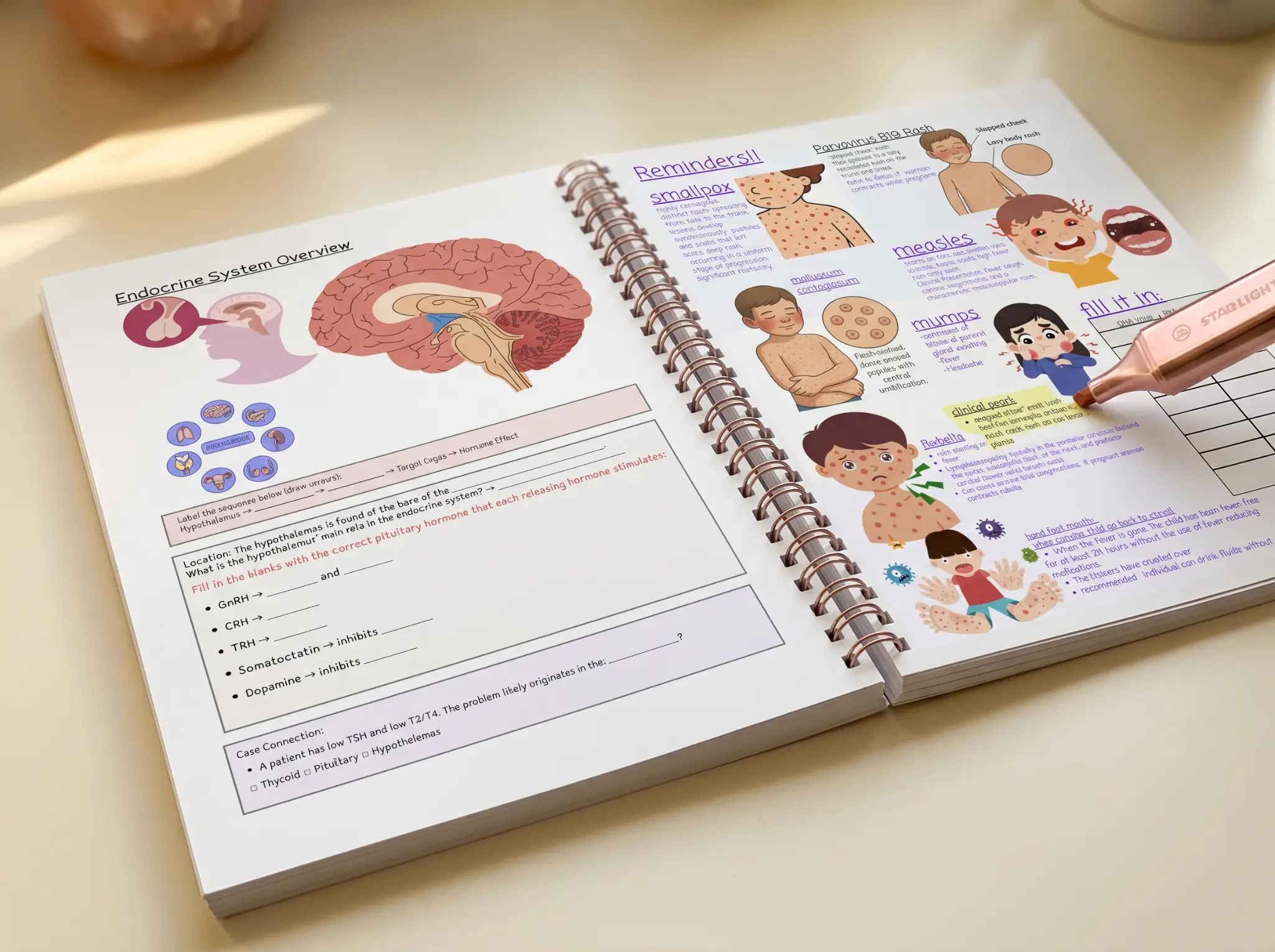 Both exams test clinical reasoning — the difference is in the non-clinical content on the ANCC.